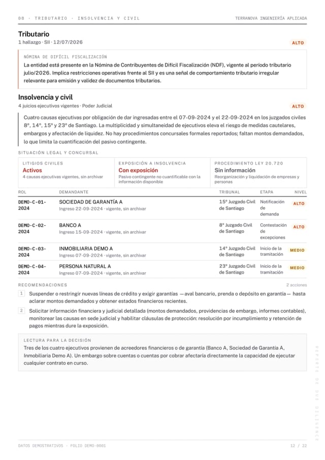 Página 12 del reporte Due Diligence de demostración