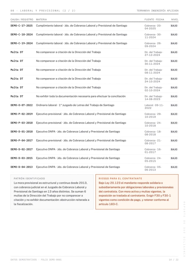 Página 14 del reporte Due Diligence de demostración