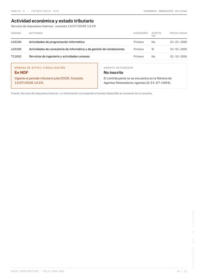 Página 18 del reporte Due Diligence de demostración