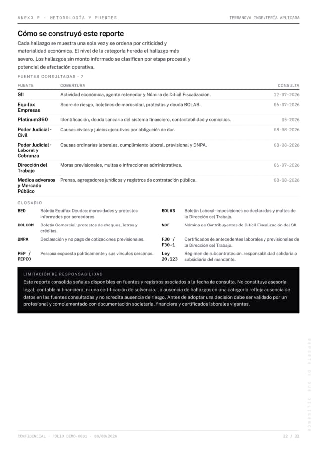 Página 22 del reporte Due Diligence de demostración